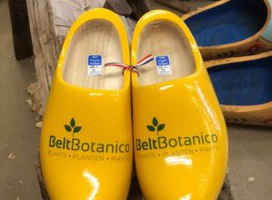 Beltbotanico